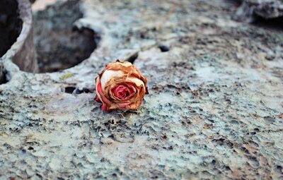 Opruimen verwelkte bloemen